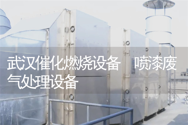 武汉催化燃烧设备 喷漆废气处理设备